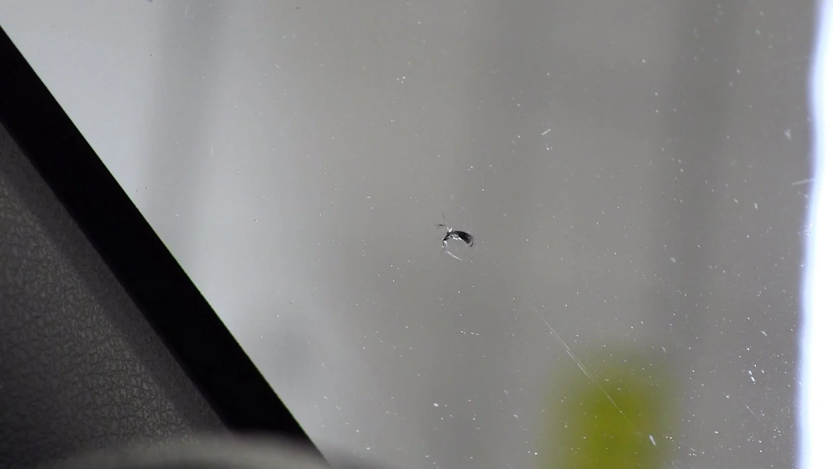 Close-up of a small windshield rock chip